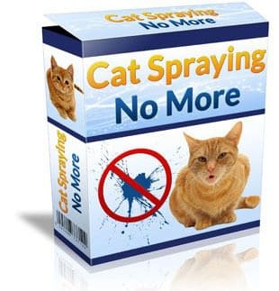 cat spraying